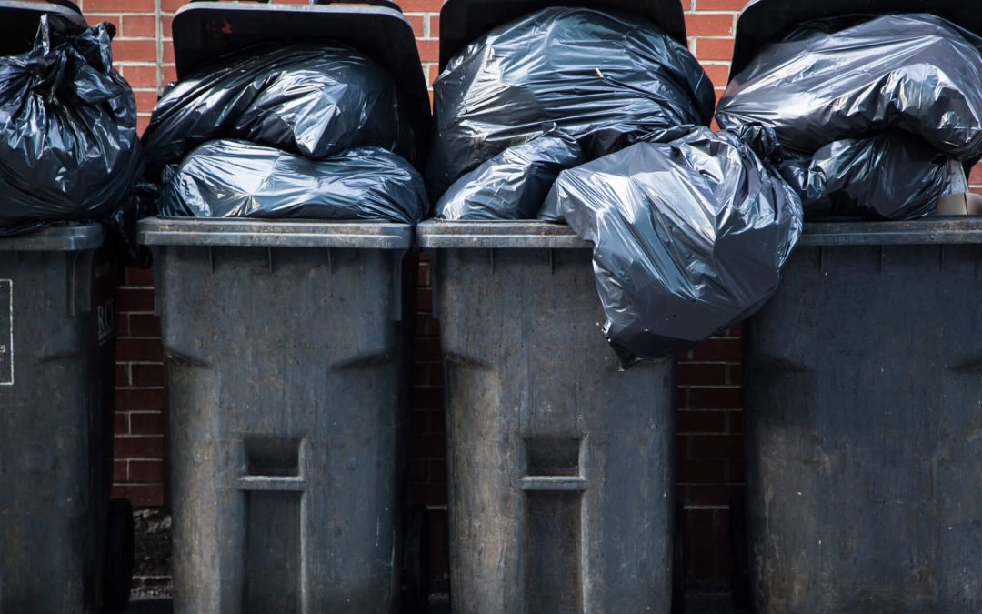 6 Practical Ways to Reduce Household Waste